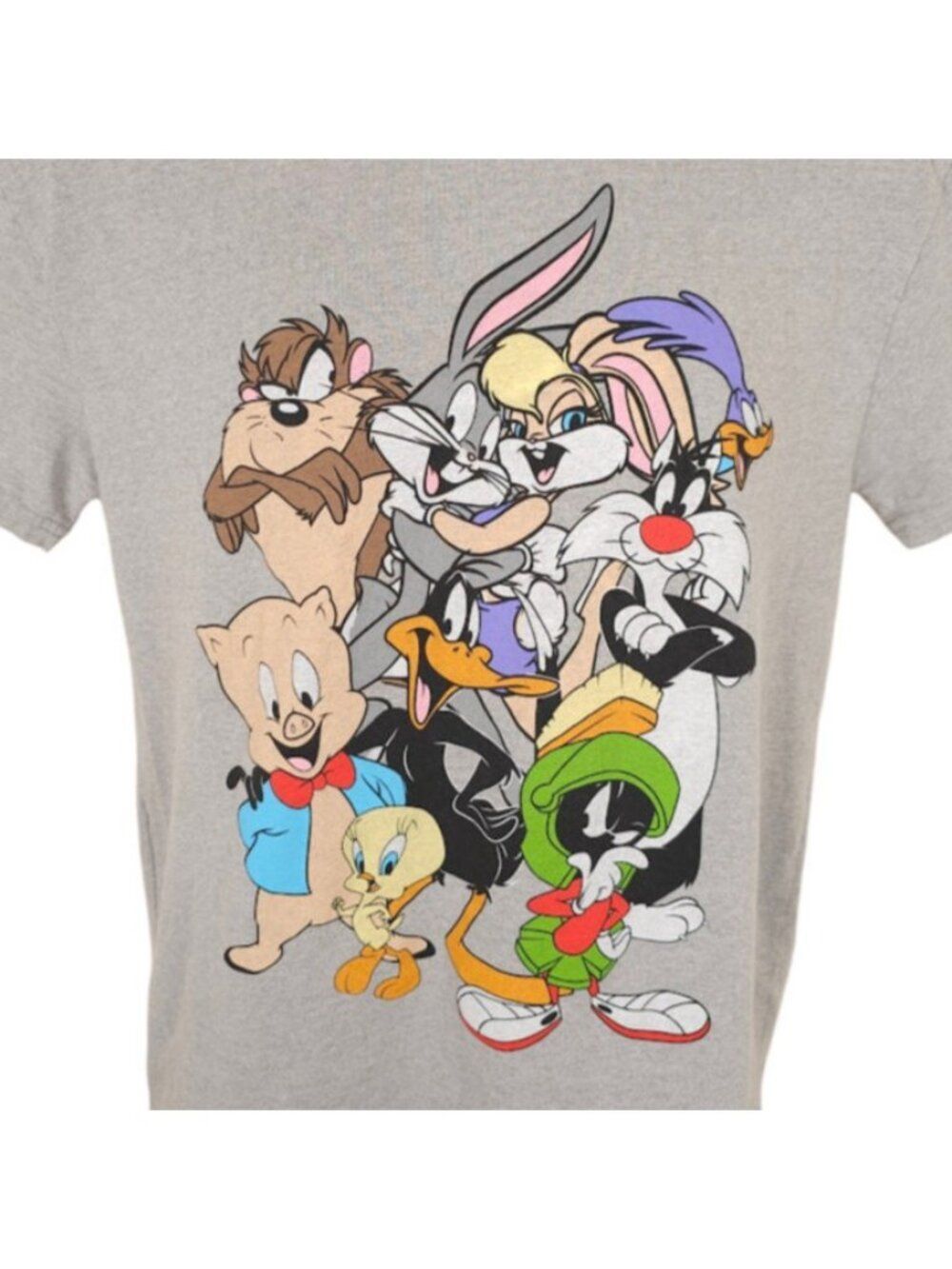 Looney Tunes T Shirt Mens Size Medium Gray Bugs Lola Bunny Taz Marvin Sylvester